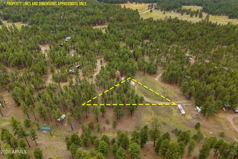 tbd County Rd 2121 -- #-, Alpine, AZ 85920 photo 4