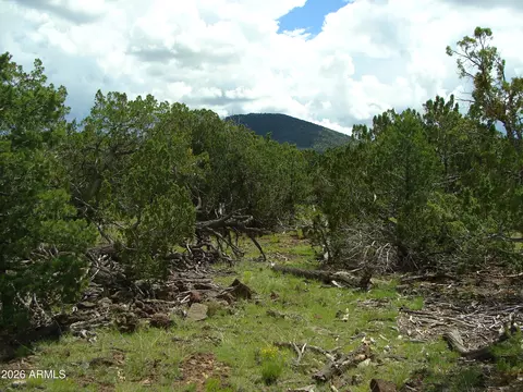 000 W Calle Adan -- #4992, Seligman, AZ 86337