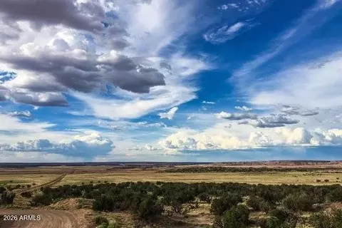 000 N6315 -- #115, Saint Johns, AZ 85936