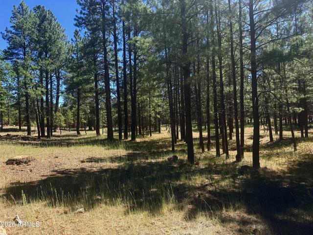 2124 Antelope Way #484, Happy Jack, AZ 86024