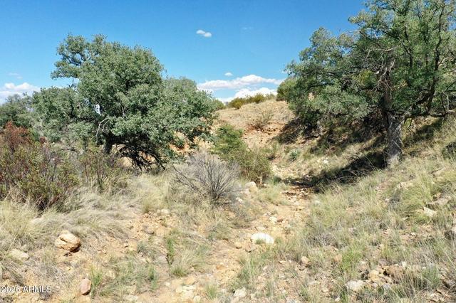 1 S Andalusian Way #1, Hereford, AZ 85615