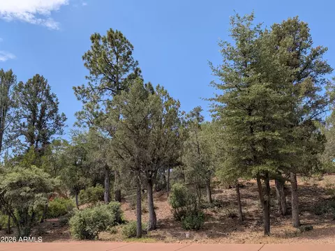 2205 E Scenic Dr #134, Payson, AZ 85541 photo 10