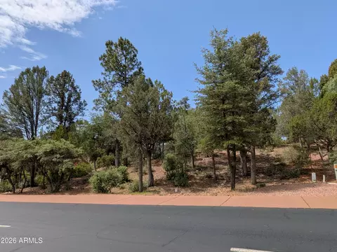 2205 E Scenic Dr #134, Payson, AZ 85541 photo 9