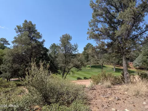 2205 E Scenic Dr #134, Payson, AZ 85541 photo 5