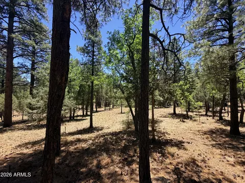 4215 Apache Dr #428, Happy Jack, AZ 86024