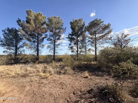 110 Erie Dr #-, Douglas, AZ 85607 photo 31