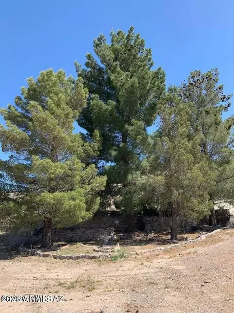 277 Campbell St, Duncan, AZ 85534 photo 24