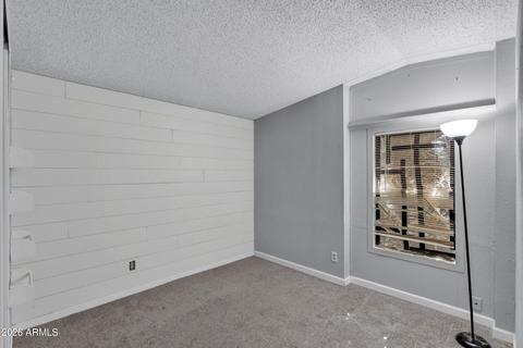 1133 W Shiprock St, Apache Junction, AZ 85120 photo 17