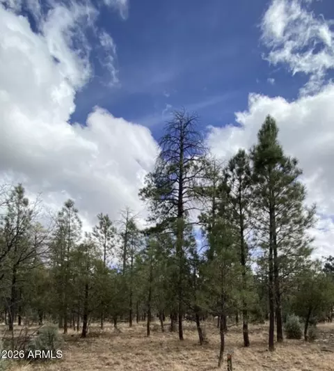 4395 Jack Pine Pl #146, Happy Jack, AZ 86024