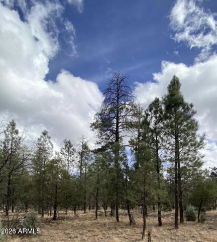 4395 Jack Pine Pl #146, Happy Jack, AZ 86024