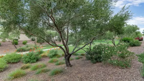 Exterior - 2157 W Scully Dr, Phoenix, AZ 85023 photo 4 of 7