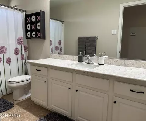 Bath - 4202 E Broadway Rd #17, Mesa, AZ 85206 photo 2 of 4