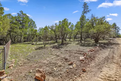 Other - 3495 N Limestone Way, Pine, AZ 85544 photo 5 of 5