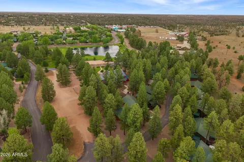 View/Area - 2722 High Pine Loop, Overgaard, AZ 85933 photo 1 of 9