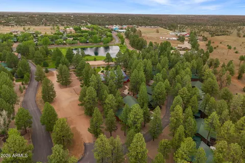 View/Area - 2722 High Pine Loop, Overgaard, AZ 85933 photo 1 of 4