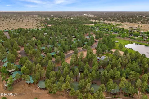 View/Area - 2722 High Pine Loop, Overgaard, AZ 85933 photo 3 of 4