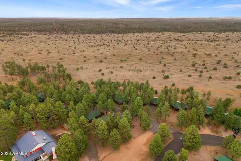 View/Area - 2722 High Pine Loop, Overgaard, AZ 85933 photo 4 of 4