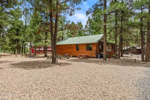 Exterior - 2722 High Pine Loop, Overgaard, AZ 85933 photo 4 of 7