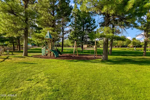 View/Area - 2722 High Pine Loop, Overgaard, AZ 85933 photo 9 of 9
