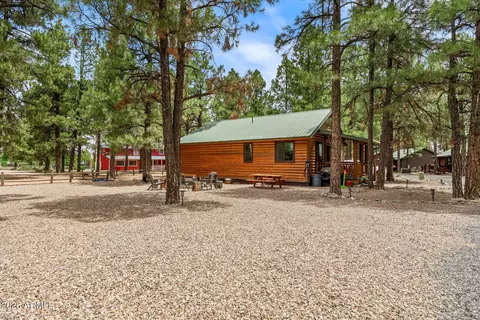 Exterior - 2722 High Pine Loop, Overgaard, AZ 85933 photo 5 of 7