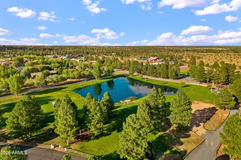 View/Area - 2722 High Pine Loop, Overgaard, AZ 85933 photo 6 of 9