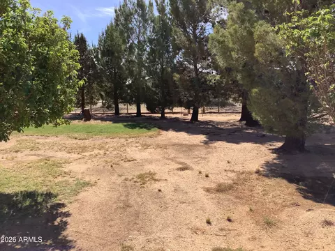 Exterior - 133 E Lehigh St, Pearce, AZ 85625 photo 15 of 16