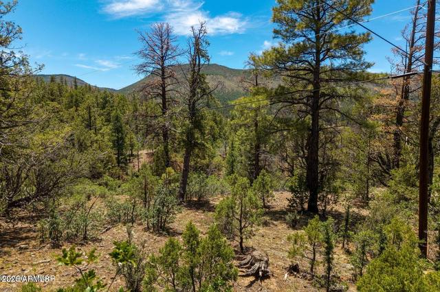 34 County Road 2279 -- #34, Nutrioso, AZ 85932