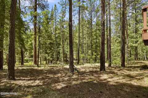 Exterior - 12 County Road 2044 --, Alpine, AZ 85920 photo 2 of 8