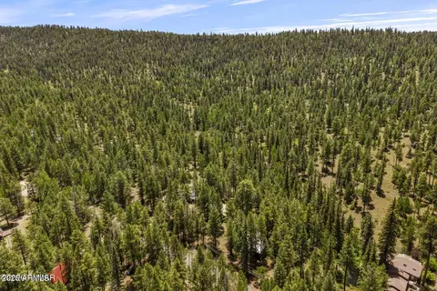 View/Area - 12 County Road 2044 --, Alpine, AZ 85920 photo 4 of 5