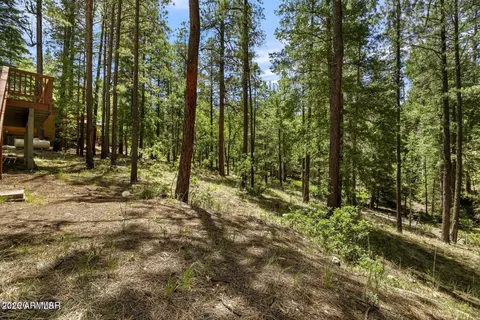 Exterior - 12 County Road 2044 --, Alpine, AZ 85920 photo 7 of 8