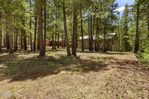 Exterior - 12 County Road 2044 --, Alpine, AZ 85920 photo 3 of 8