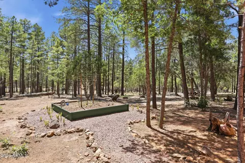 4170 Apache Dr, Happy Jack, AZ 86024 photo 39