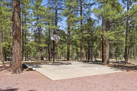 4170 Apache Dr, Happy Jack, AZ 86024 photo 36