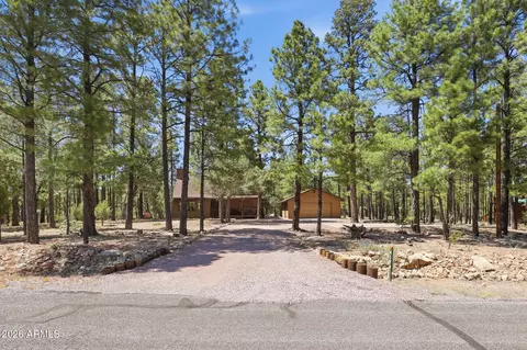 4170 Apache Dr, Happy Jack, AZ 86024 photo 40