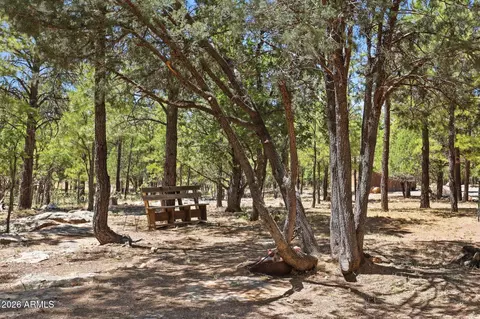 4170 Apache Dr, Happy Jack, AZ 86024 photo 38