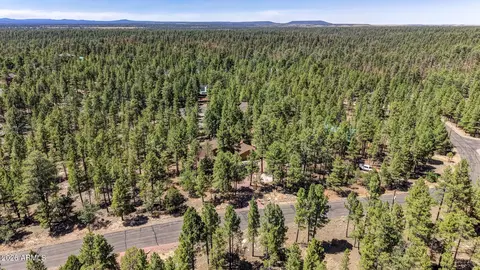 4170 Apache Dr, Happy Jack, AZ 86024 photo 44