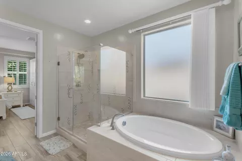 Bath - 10612 E Durant Dr, Mesa, AZ 85212 photo 3 of 9