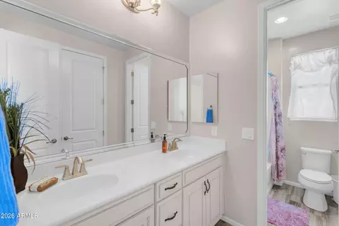 Bath - 10612 E Durant Dr, Mesa, AZ 85212 photo 7 of 9