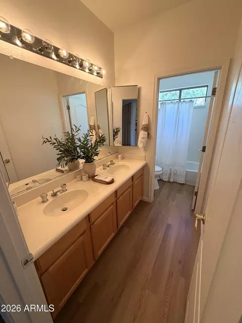 Bath - 1551 E Sagebrush Ct, Gilbert, AZ 85296 photo 3 of 3
