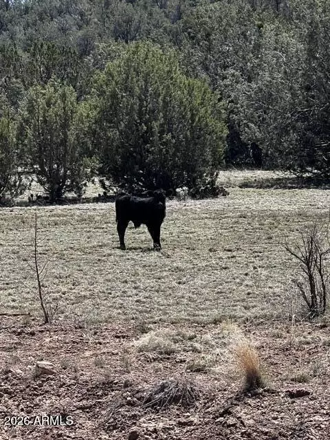 lot15 Juniper Mtn Rnch UNIT 1, Seligman, AZ 86337