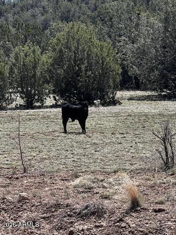 lot15 Juniper Mtn Rnch UNIT 1, Seligman, AZ 86337