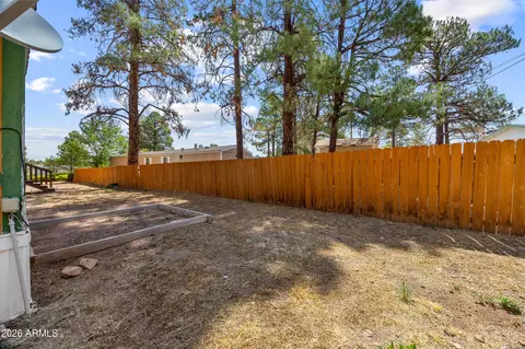 2177 Ruby Ln, Overgaard, AZ 85933 photo 24
