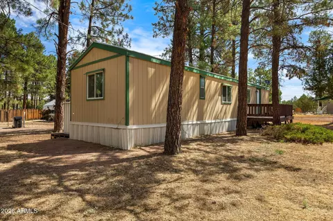 2175 Ruby Ln, Overgaard, AZ 85933 photo 21