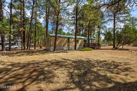 2175 Ruby Ln, Overgaard, AZ 85933 photo 22