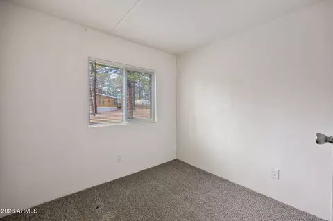 2175 Ruby Ln, Overgaard, AZ 85933 photo 18