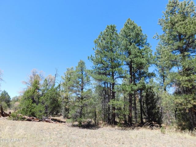 3100 Pinewood Dr #083B, Overgaard, AZ 85933