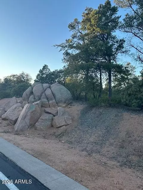 1806 E Cliff Rose Dr #839, Payson, AZ 85541 photo 10