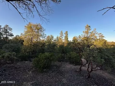1806 E Cliff Rose Dr #839, Payson, AZ 85541 photo 13
