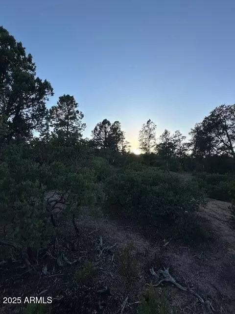 1806 E Cliff Rose Dr #839, Payson, AZ 85541 photo 36