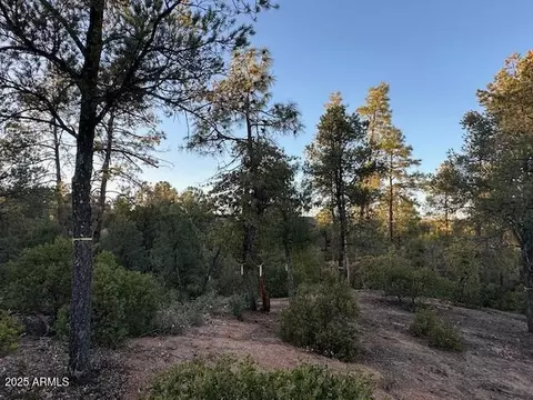 1806 E Cliff Rose Dr #839, Payson, AZ 85541 photo 26